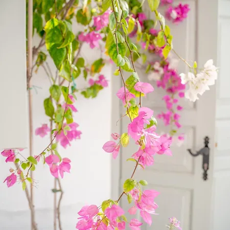 Kampanario Luxury Two-Bedroom Villa With Private Jacuzzi