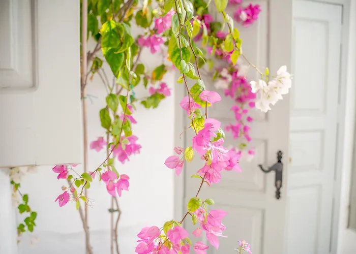 Kampanario Luxury Two-bedroom With Private Jacuzzi