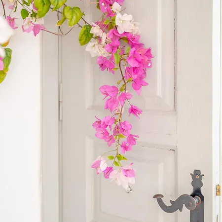 Дом отдыха Kampanario Luxury Two-bedroom With Private Jacuzzi Мегалохори